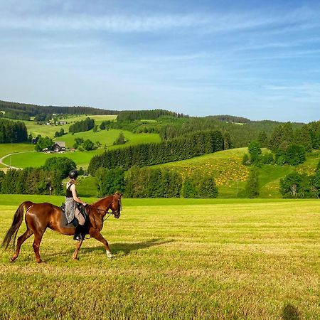 Ferienhof Gerda Sankt Georgen im Schwarzwald Exterior foto