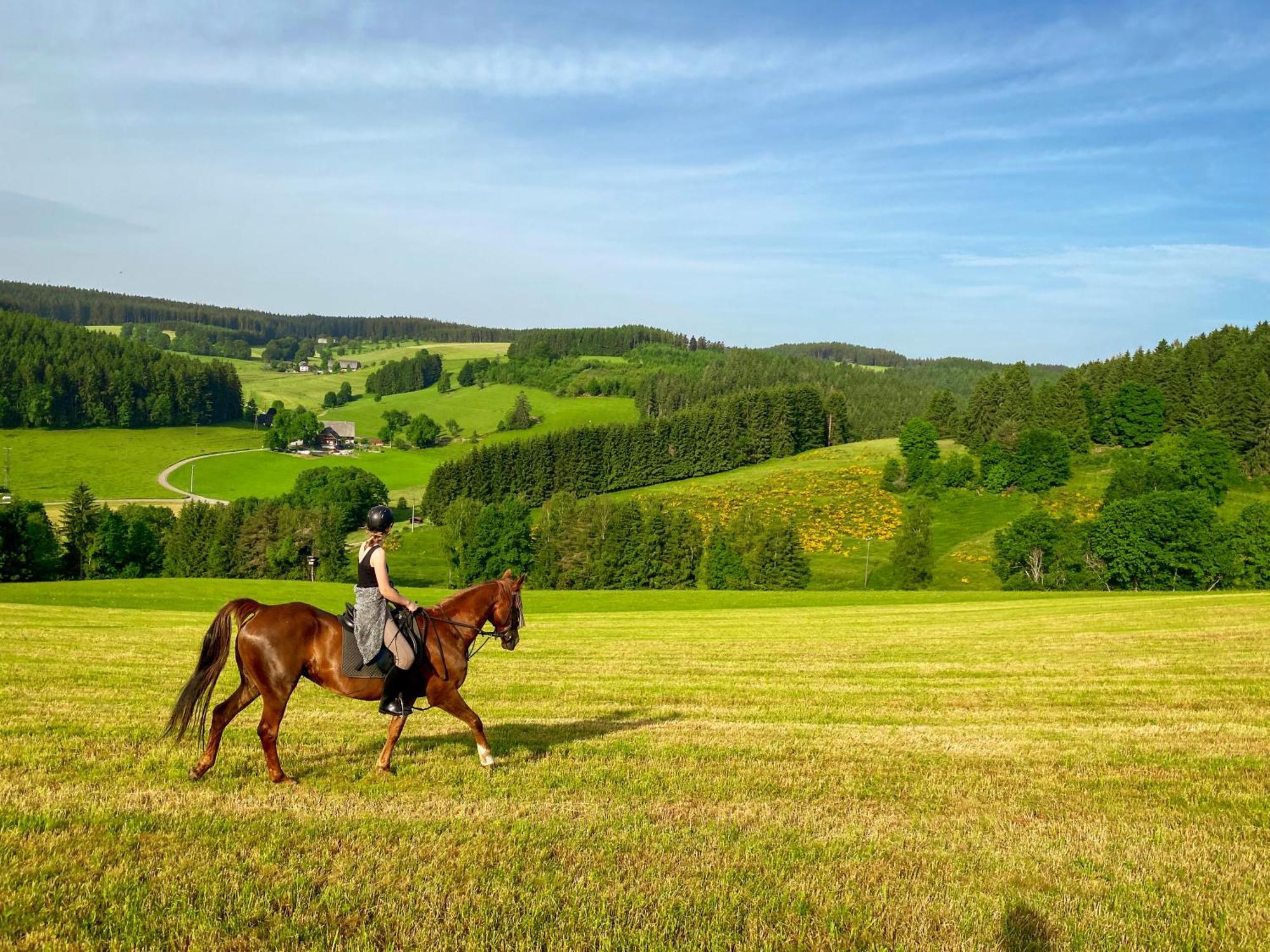 Ferienhof Gerda Sankt Georgen im Schwarzwald Exterior foto